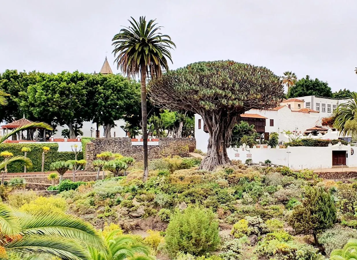 Brisas Del Roque Coastline Apartment In Garachico By Hrtenerife Net